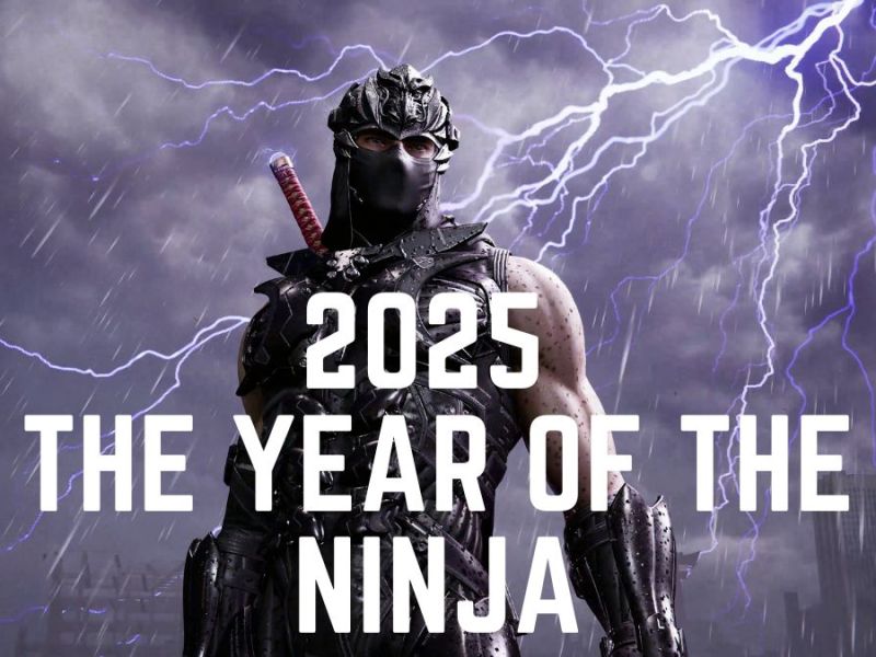 L’Anno del Ninja: Quattro Capolavori a Confronto –&nbsp;SPECIALE
